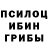 Псилоцибиновые грибы Cubensis MaD cor