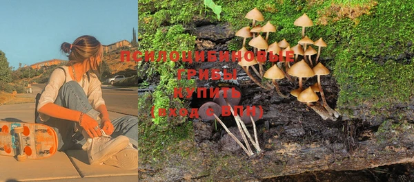 spice Балабаново