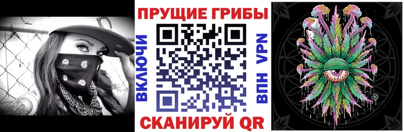 Галлюциногенные грибы Psilocybe  цены   KRAKEN вход  Юрьевец 
